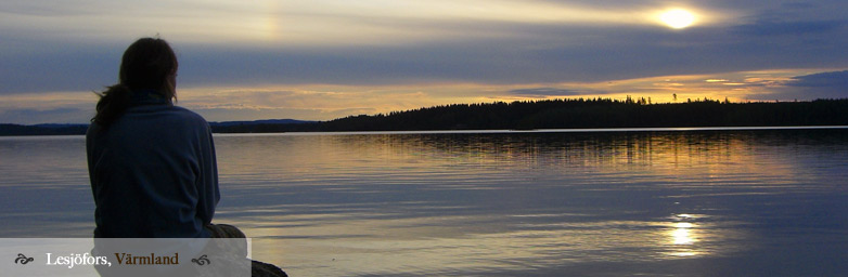 Arbeiten in Schweden