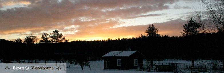 Schweden: Land und Leute